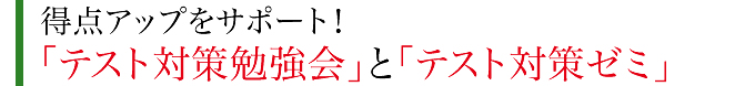 学まる個別 テスト対策勉強会とテスト対策ゼミ