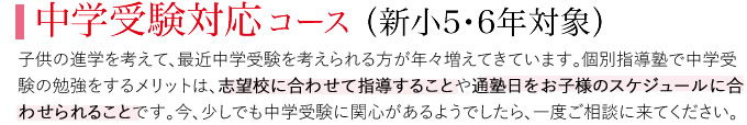 学まる個別 中学受験対応コース