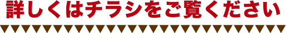 学まる個別 チラシをご覧ください