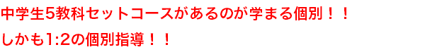 中学生5教科セットコースがあるのが学まる個別！！ しかも1:2の個別指導！！